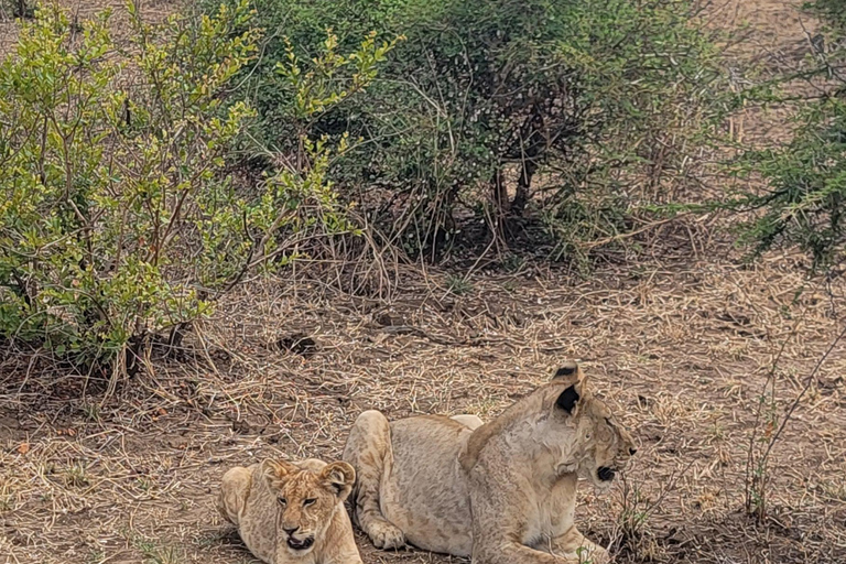 3-days 2-nights Zanzibar to Mikumi Safari wildlife-bye Boat