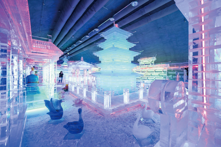 Pêche sur glace à Hwacheon et visite hivernale de la vallée d&#039;Eobi au départ de SéoulDépart de la station Hongik Univ. sortie4