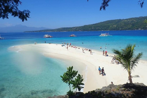 Ultimate 4-Day Cebu to Bohol Tour
