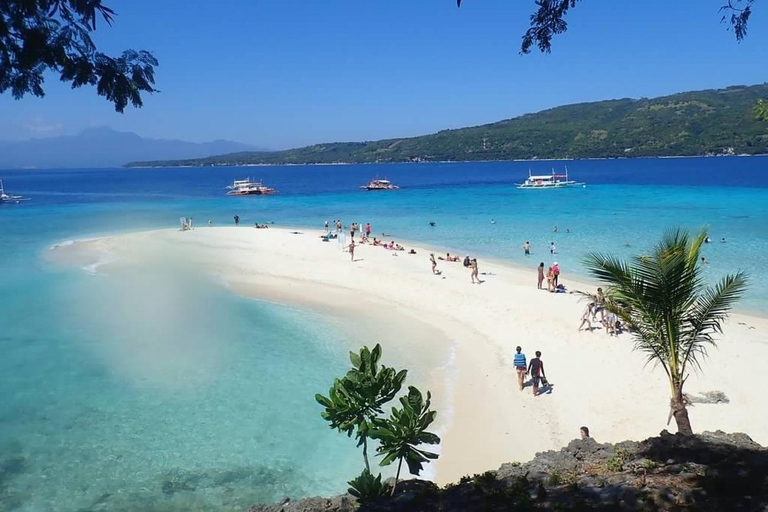 Ultimate 4-Day Cebu to Bohol Tour