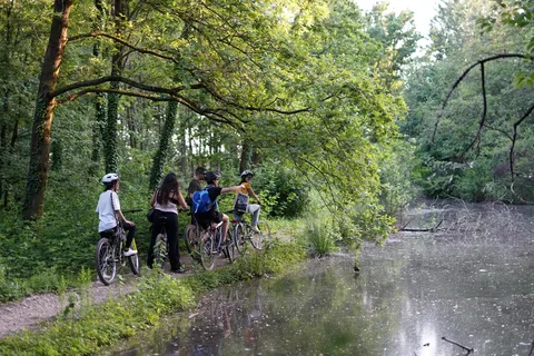 Milão: Passeio de bicicleta com piquenique no lago das tartarugas