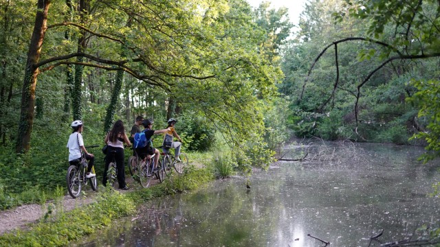 Visit Milan Bike Tour with Picnic on the Lake in Milán