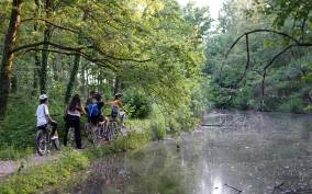 Milan: Bike Tour with Picnic on the turtle lake
