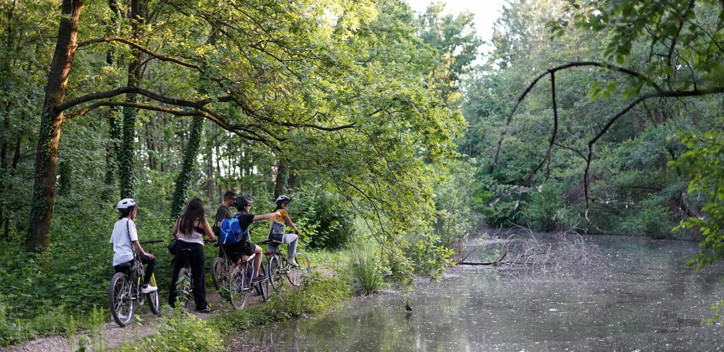 Mailand: Fahrradtour mit Picknick am Schildkrötensee