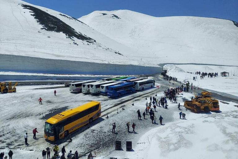 Nagoya: Shirakawa-go, Takayama & Snow Wall 2-Day Tour 1 person 1 room