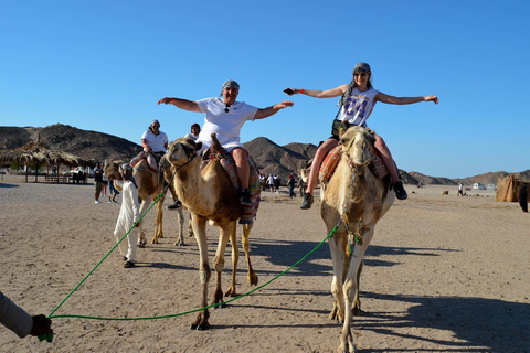 Hurghada: Quad-, Buggy- und Kamelritt & BeduinendorfHurghada: Quad-, Buggy- und Kamelritt mit Beduinen ...