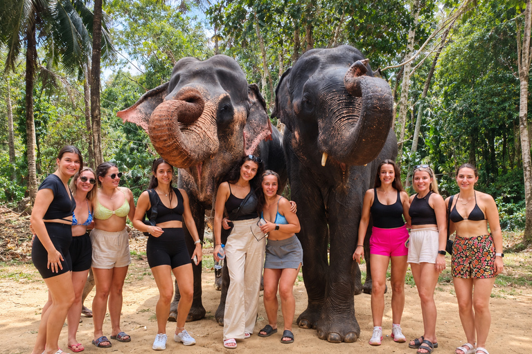 Kandy: Elephant Village Experience & Kandyan Dance Tour Kandy: Private Guided City Tour by Tuk-Tuk