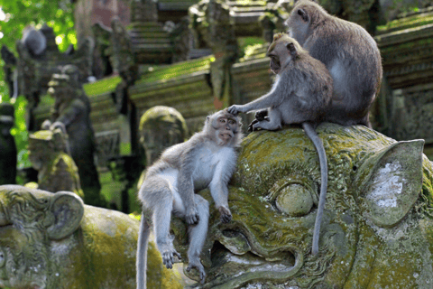 Bali: rafting en aguas bravas, bosque de los monos y puesta de sol en Tanah Lot