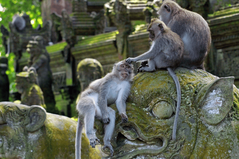 Bali: rafting en aguas bravas, bosque de los monos y puesta de sol en Tanah Lot