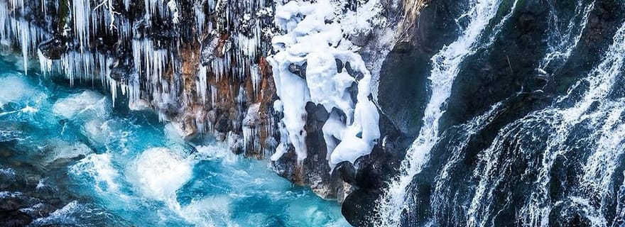 Sapporo : zoo d'Asahiyama, étang bleu et source chaude