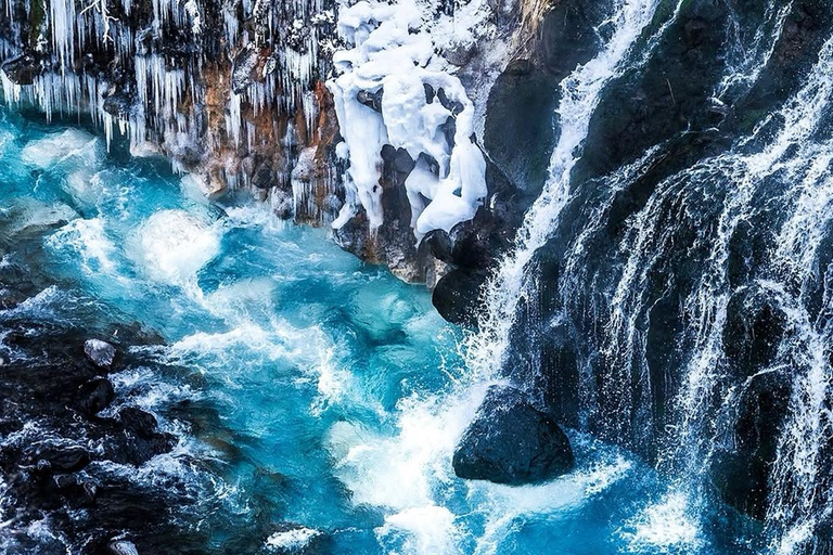 سابورو: جولة في حديقة أساهياما للحيوانات والبركة الزرقاء والينبوع الساخنالطريق C - 7:30 من الفندق/الم