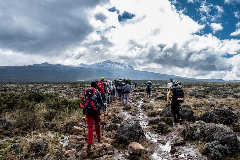 Daytrip to Mount Kilimanjaro