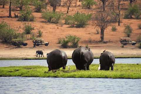 Kasane: 3-Day Chobe Big Five Safari at Two Rivers Hotel
