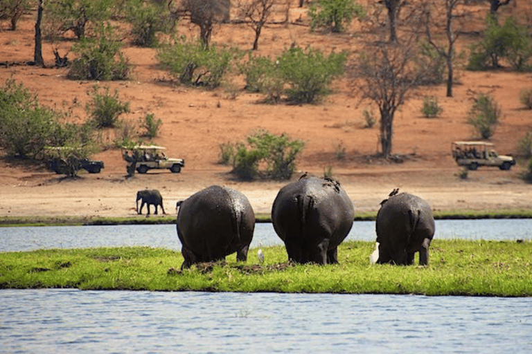 Kasane: 3-Day Chobe Big Five Safari at Two Rivers Hotel