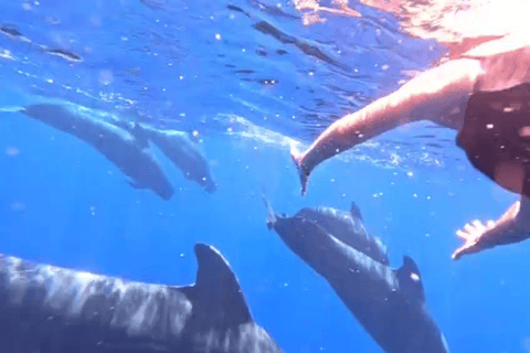 Mirissa: Whale Watching & Snorkeling Adventure with Guide