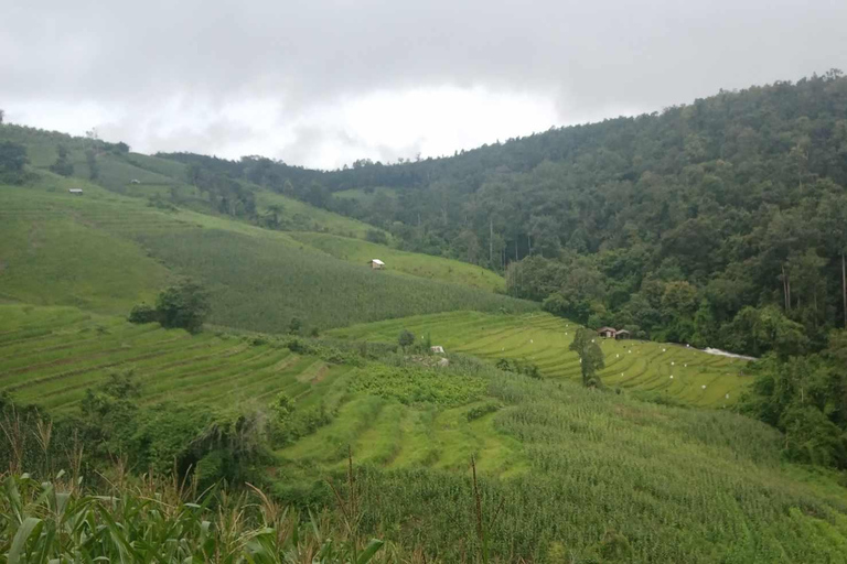 Chiang Mai: jungletocht, olifanten en verblijf in een bergstamdorpChiang Mai: tweedaagse jungletocht met verblijf in de bergstam