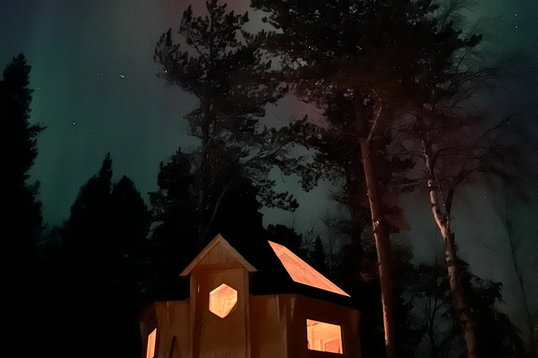 Levi: Private Sauna Experience, Dinner and Northern Lights