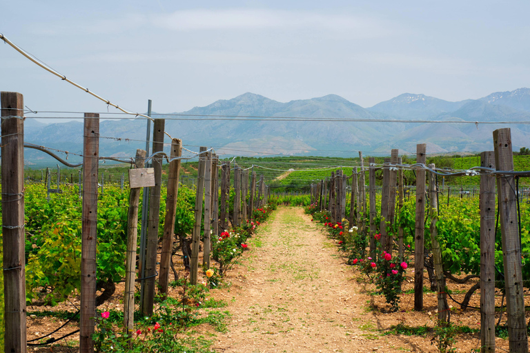 From Tirana: Daily Tour to Berat | UNESCO &amp; Belsh (Winery)