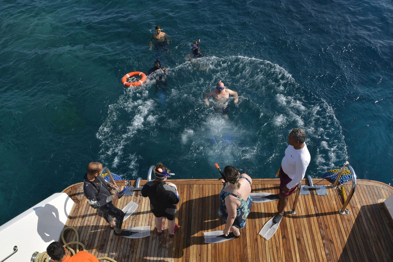 Excursão de 1 dia para mergulho com snorkel e passeio pela ilha com cruzeiro guiado de luxoFuga tranquila para a Ilha Mahmya