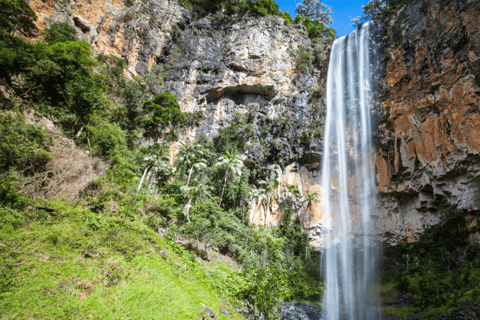 Spring Brook National Park Driving Tour with an APPSpring Brook National Park Self Guided Driving Tour