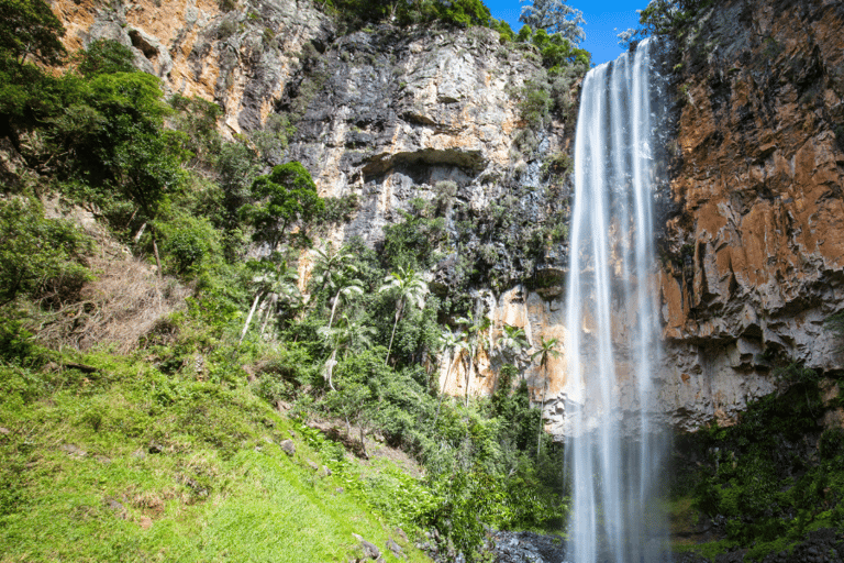 Spring Brook National Park Self Guided Driving Tour