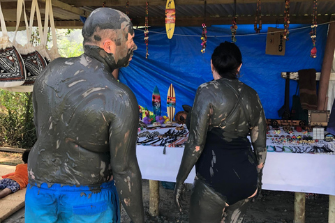 Ogród orchidei, wędrówka nad wodospad i gorące źródła SabetoFiji Marriott Resort/Queens Wharf Lautoka /Tanoa Waterfront