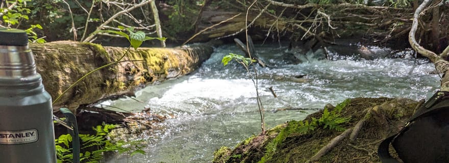 Whistler : visite guidée, expérience immersive dans la nature