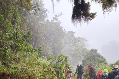From Arusha: Mount Meru 4-Day Trek