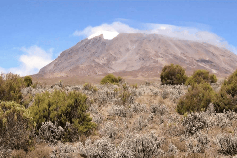 莫希：乞力马扎罗山马兰古路线 2 日徒步