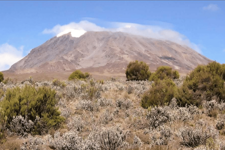 莫希：乞力马扎罗山马兰古路线 2 日徒步