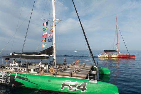 Costa Adeje: avistamiento de ballenas con comida y bebidaTour con recogida