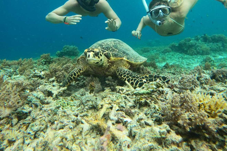 Gili Islands : Snorkelling Trip by Glass Bottom Boat Gili Trawangan : Snorkelling trip & Sunset tour