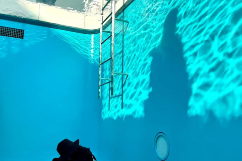 4-Day Cultural Tour from Tokyo to Kanazawa & Fukui 4-Day from Tokyo to Kanazawa & Fukui（No tour guide）