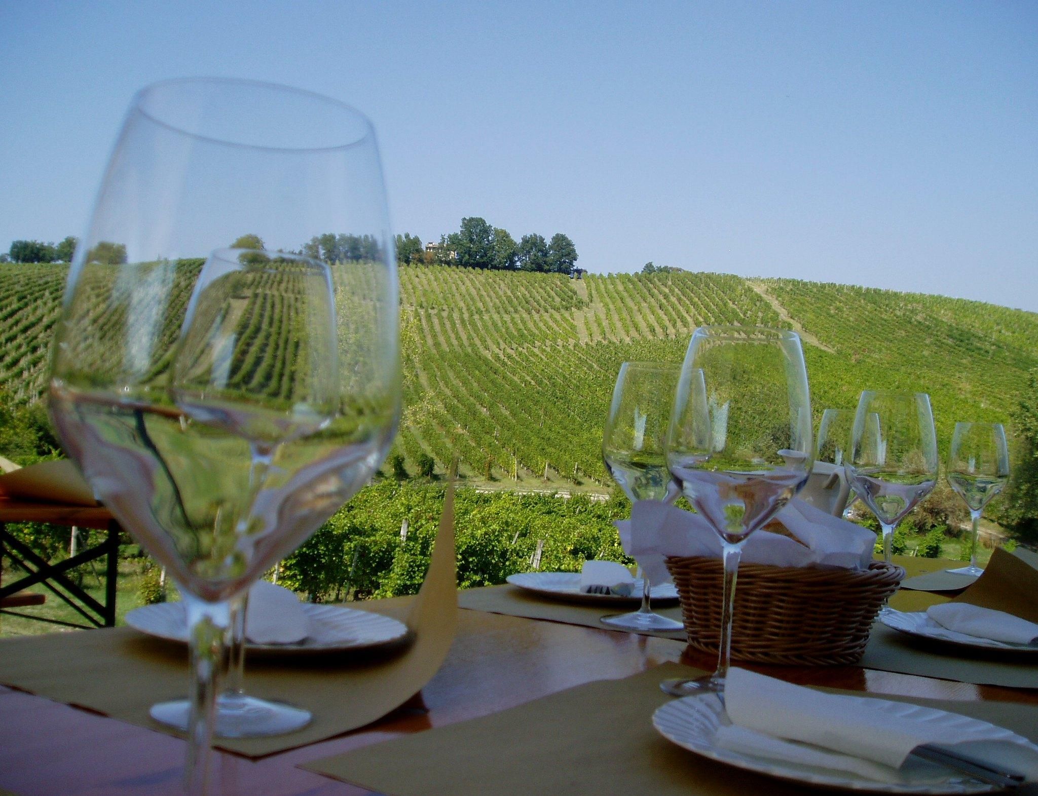 Volos: Süd-Pilion – private Tour mit Weinprobe