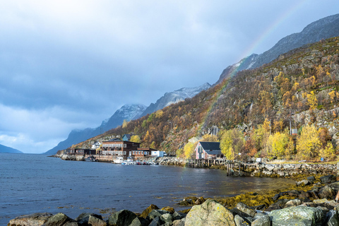 Tromsø: Fjord Adventure with Lunch and Photos Tromsø: Fjord Minibus Tour with Lunch and Free Photos