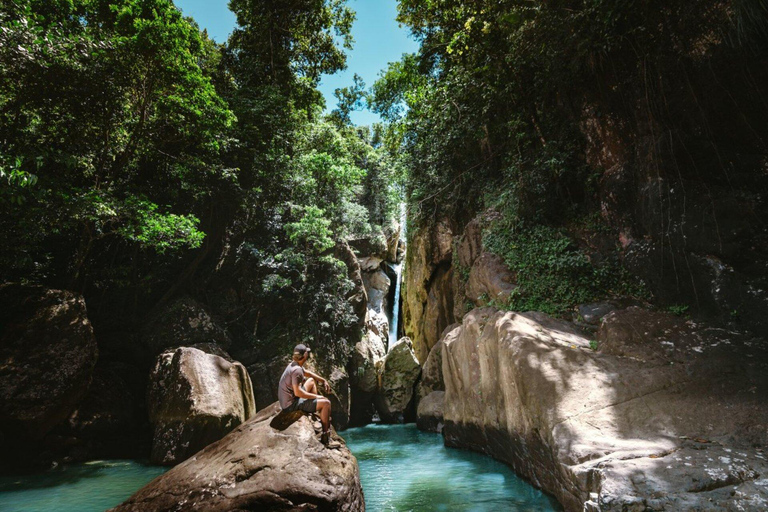 San Juan: El Yunque Rainforest Guided Hike with Swimming