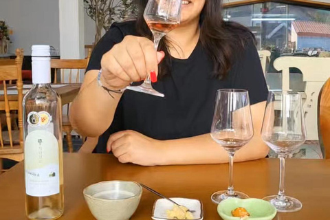 De Seul: Viagem de 1 dia a Yeongdong com prova de vinhos e Janggu...