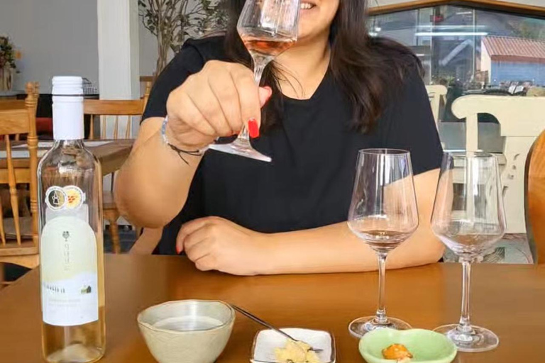 De Seul: Viagem de 1 dia a Yeongdong com prova de vinhos e Janggu...