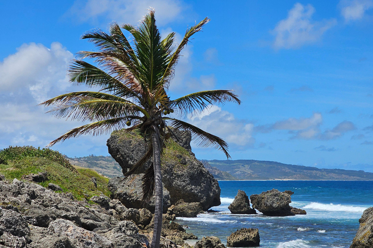 Barbados: Prywatna widokowa wycieczka z przewodnikiem