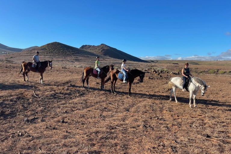 Randonnée à cheval d'une heure à Gran Canaria