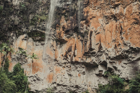 Gold Coast: Springbrook Waterfalls Private Tour