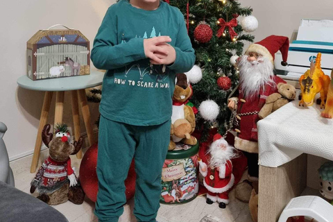 Boottochtjes met glazen boot om schildpadden te spotten