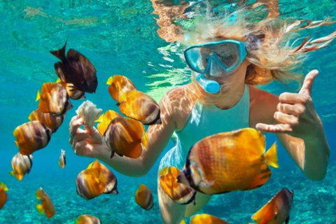 Snorkling på Bali: Snorkling vid Blå lagunen och Tanjung Jepun med lunch