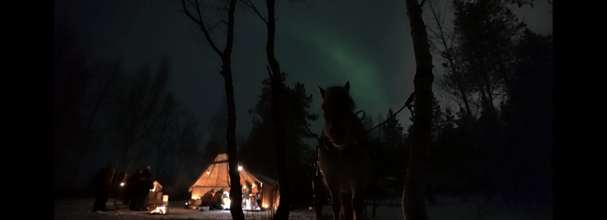 Équitation et repas