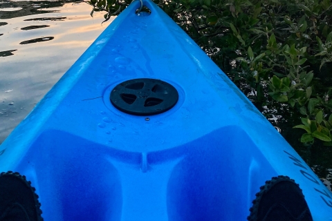 Eco-aventure guidée en kayak de mangrove à Purple IslandEco-aventure guidée en kayak dans la mangrove - Purple Island