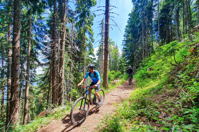 Sarajevo: Trebević Mountain Biking Tour with Picnic Lunch
