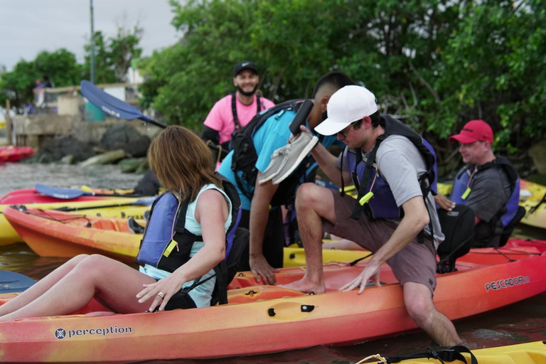 Fajardo: Bioluminescent Bay Kayak Tour in Puerto Rico