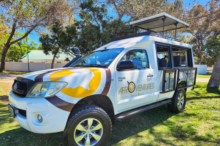 Addo Elephant National Park All Inclusive heldagssafariStandardtur