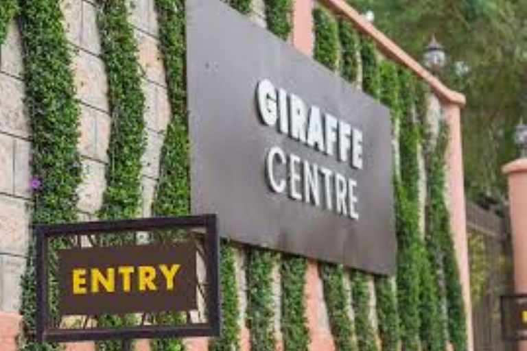 Nairobi: Giraffe Center, Museum of Illusions & Blixen Tour