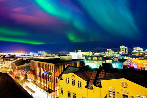 Reykjavik: Private Night Tour